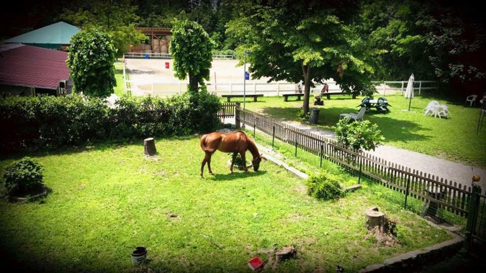 Agriturismo La Fornace Centro Ippico Vila Como Exterior foto