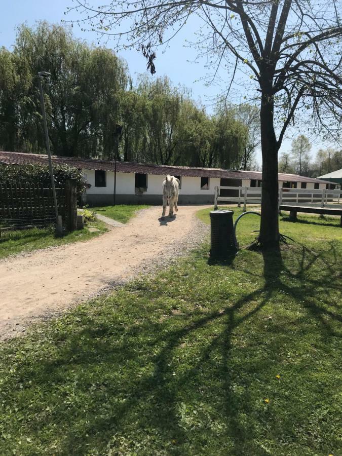 Agriturismo La Fornace Centro Ippico Vila Como Exterior foto